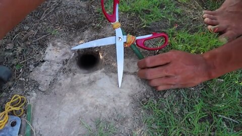 Easy Snake Trap Creative Method DIY Snake Trap Using Cutter That Work 100 7