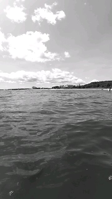 Snorkeling at Cape Cod