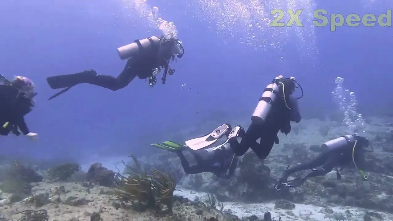 Cozumel Dive 4