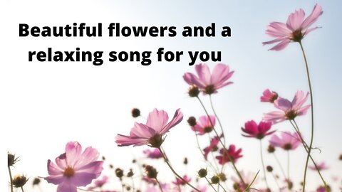 Beautiful flowers and a relaxing song for you