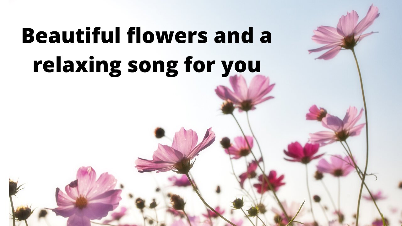 Beautiful flowers and a relaxing song for you