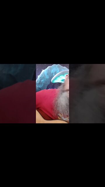 round here #countingcrows cover #stevecutlerlive