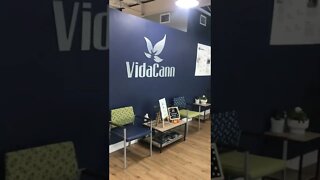 Vida Cann