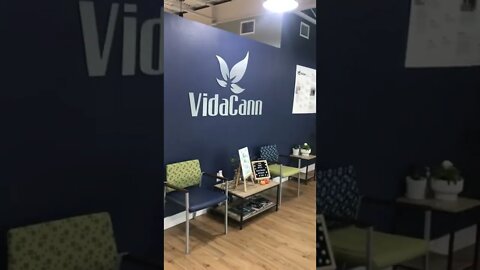 Vida Cann