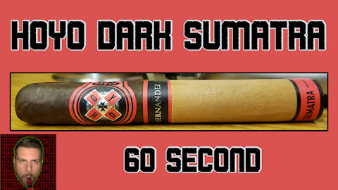 60 SECOND CIGAR REVIEW - HOYO Dark Sumatra - Should I Smoke This