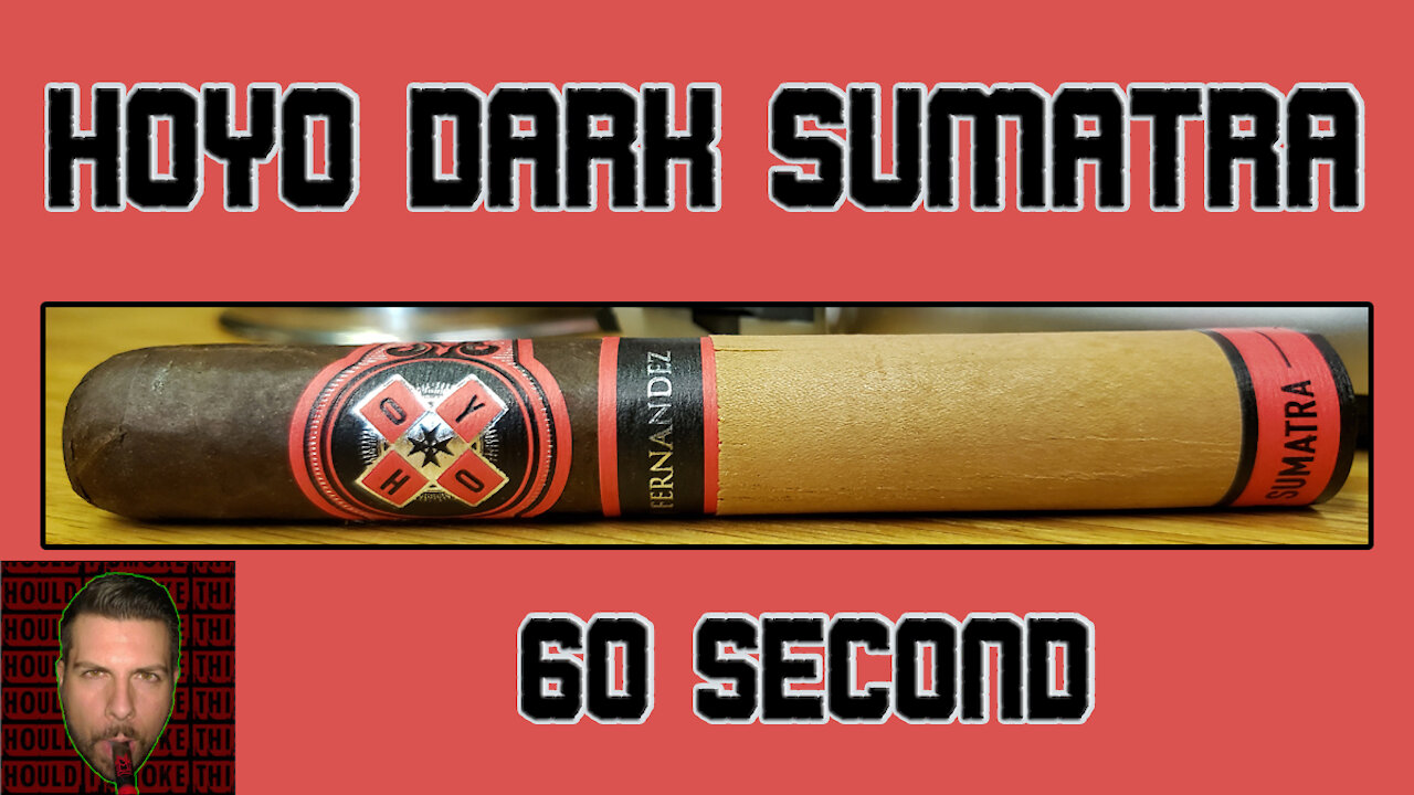 60 SECOND CIGAR REVIEW - HOYO Dark Sumatra - Should I Smoke This