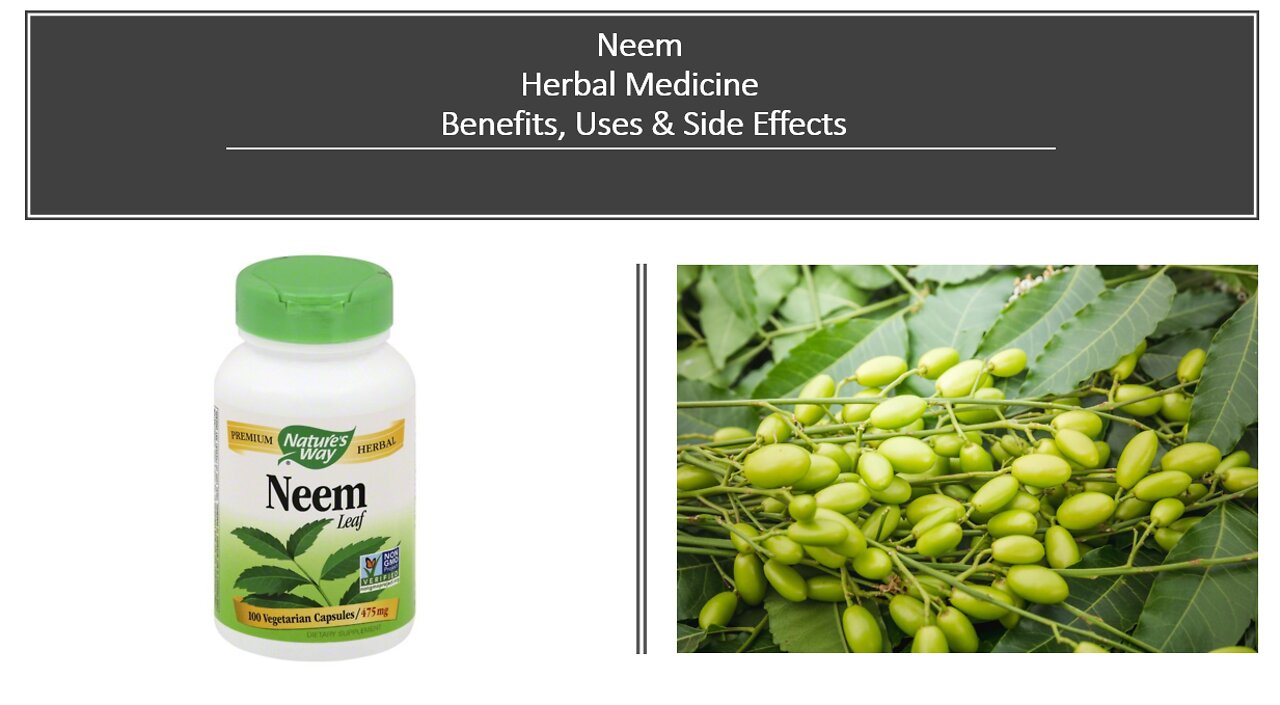 Neem Herbal Medicine Benefits, Uses & Side Effects