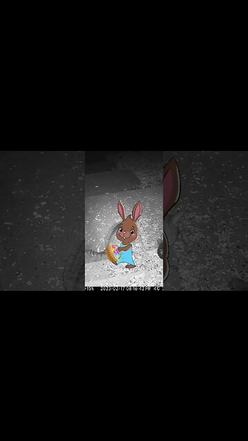 A Cute Easter Bunny Visits! #Shorts 🌞