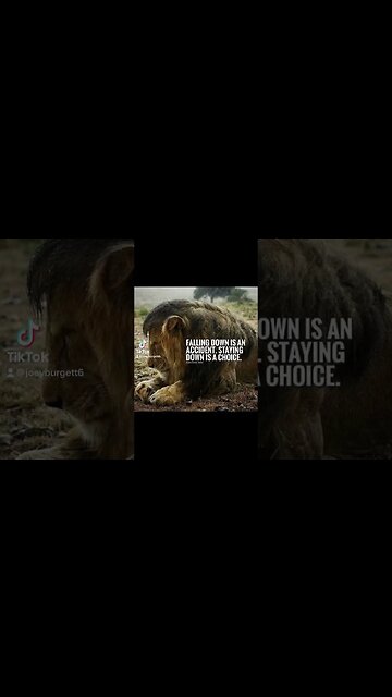 Daily Inspirational Quotes