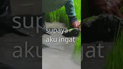 RAHASIA RENDAH HATI