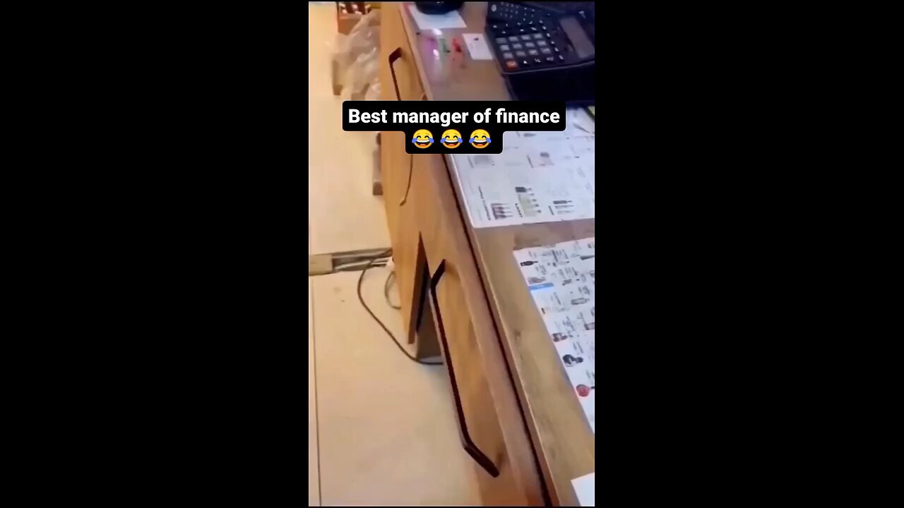 funny cat manager of financial