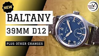 MUCH DIFFERENT? Baltany D12 Field Watch Review #HWR