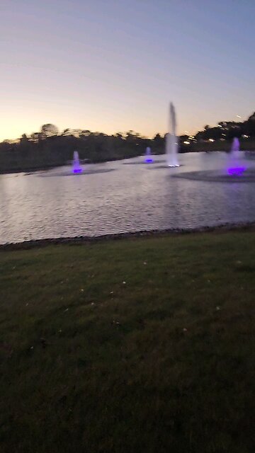 My Peaceful Place - A Funny Story