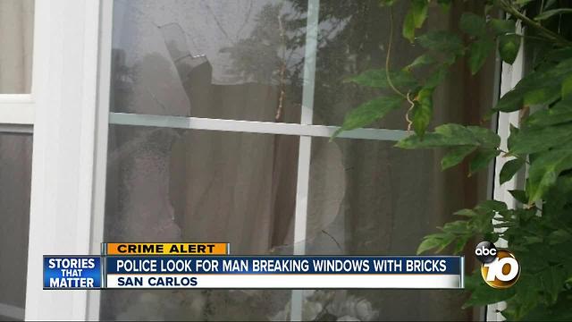 Police looking for man breaking windows with bricks