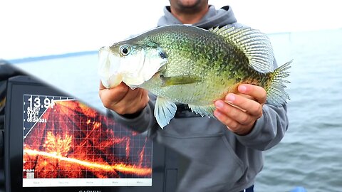 Catching GIANT Crappie with Garmin Livescope (lake of the pines, Texas pt 2)