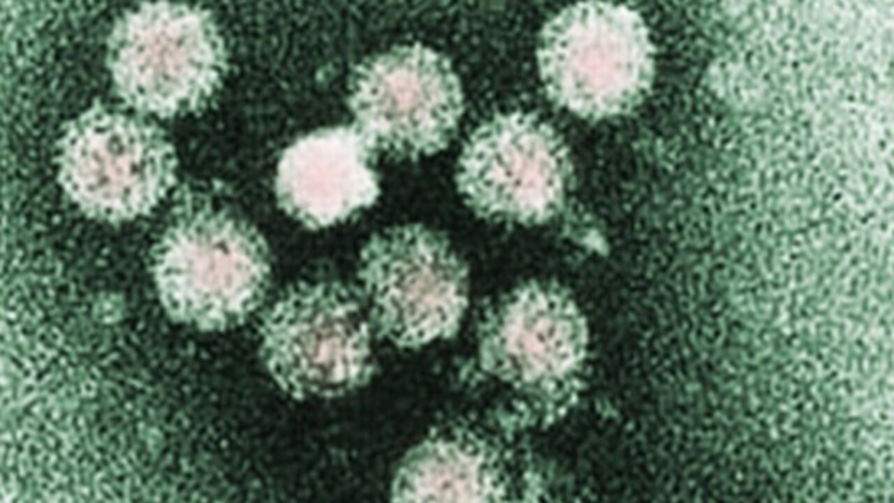New cases of Hepatitis A in Palm Beach County, bringing total to 14