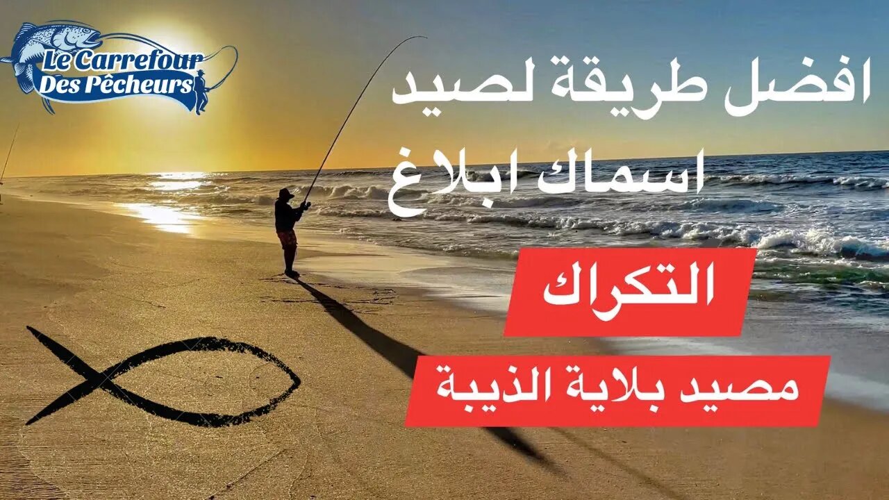 المتعة و التقاوس على المباشر مع اسماك ابلاغ من مصيد بلاية الذيبة شمال الداخلة - #fishing In #dakhla