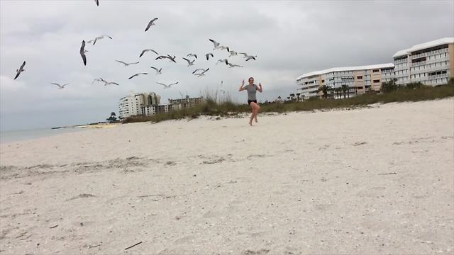 A Girl Gets Chased By A Flock Of Seagulls On A Beach