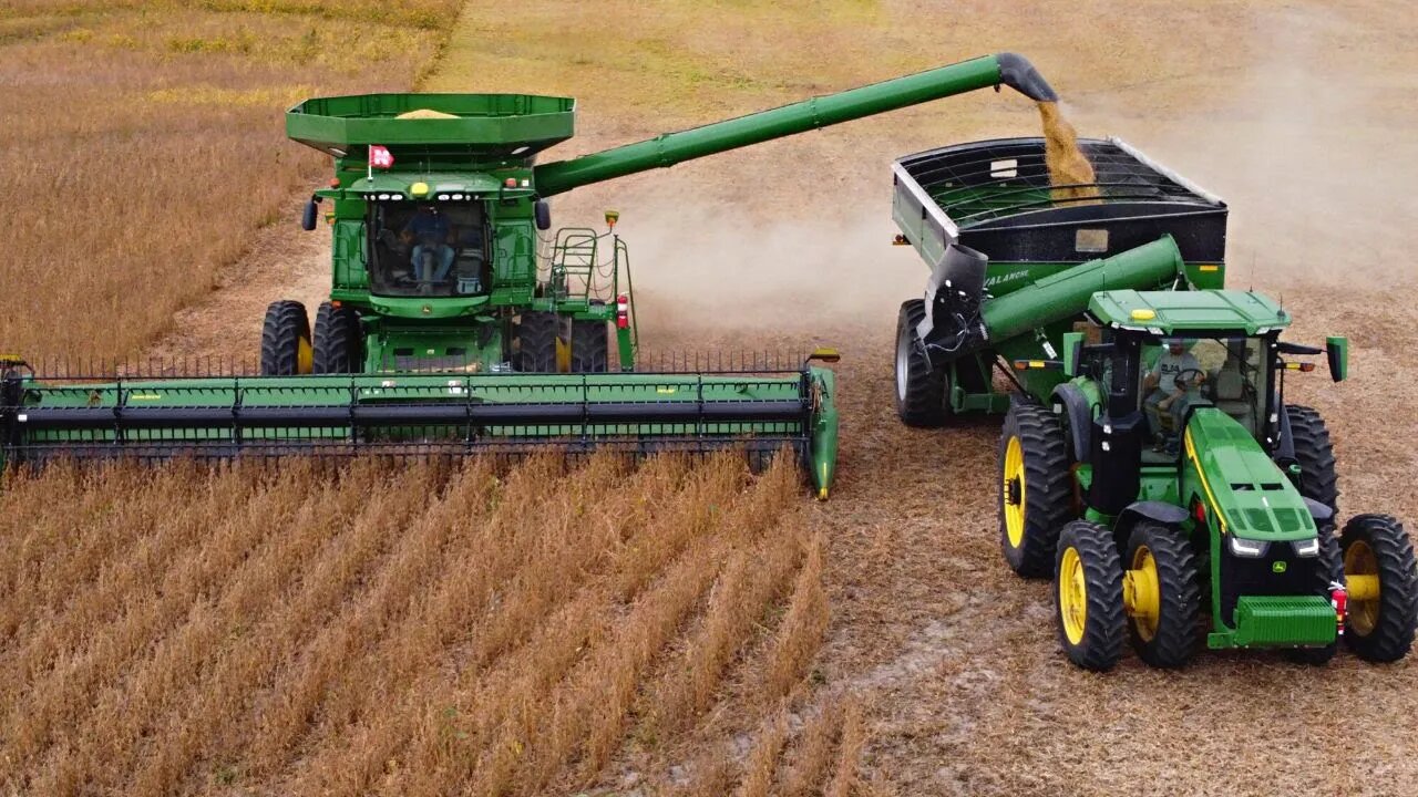 Dirty Green Stem Soybeans..