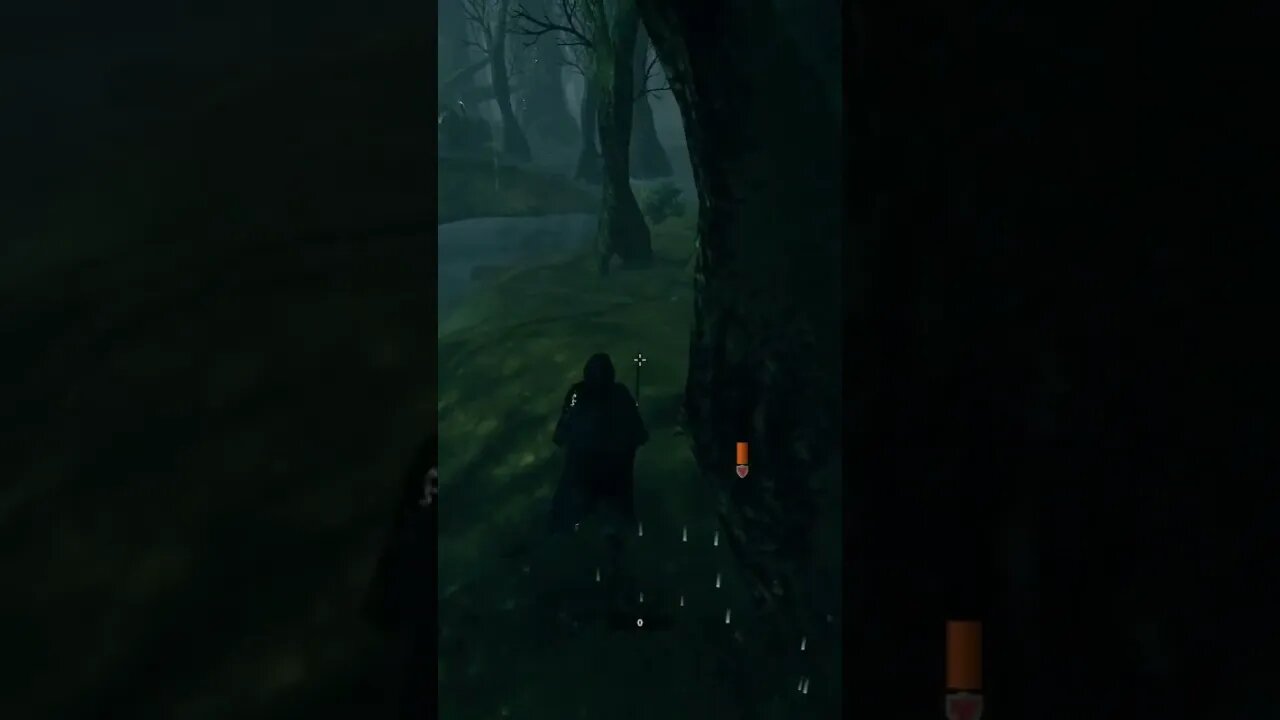 Why I'm never wandering the swamps alone in #Valheim