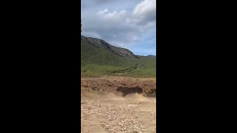 Lions Are Too Hard Working Close Distances With Wild Animals Animals Confusing Behavior