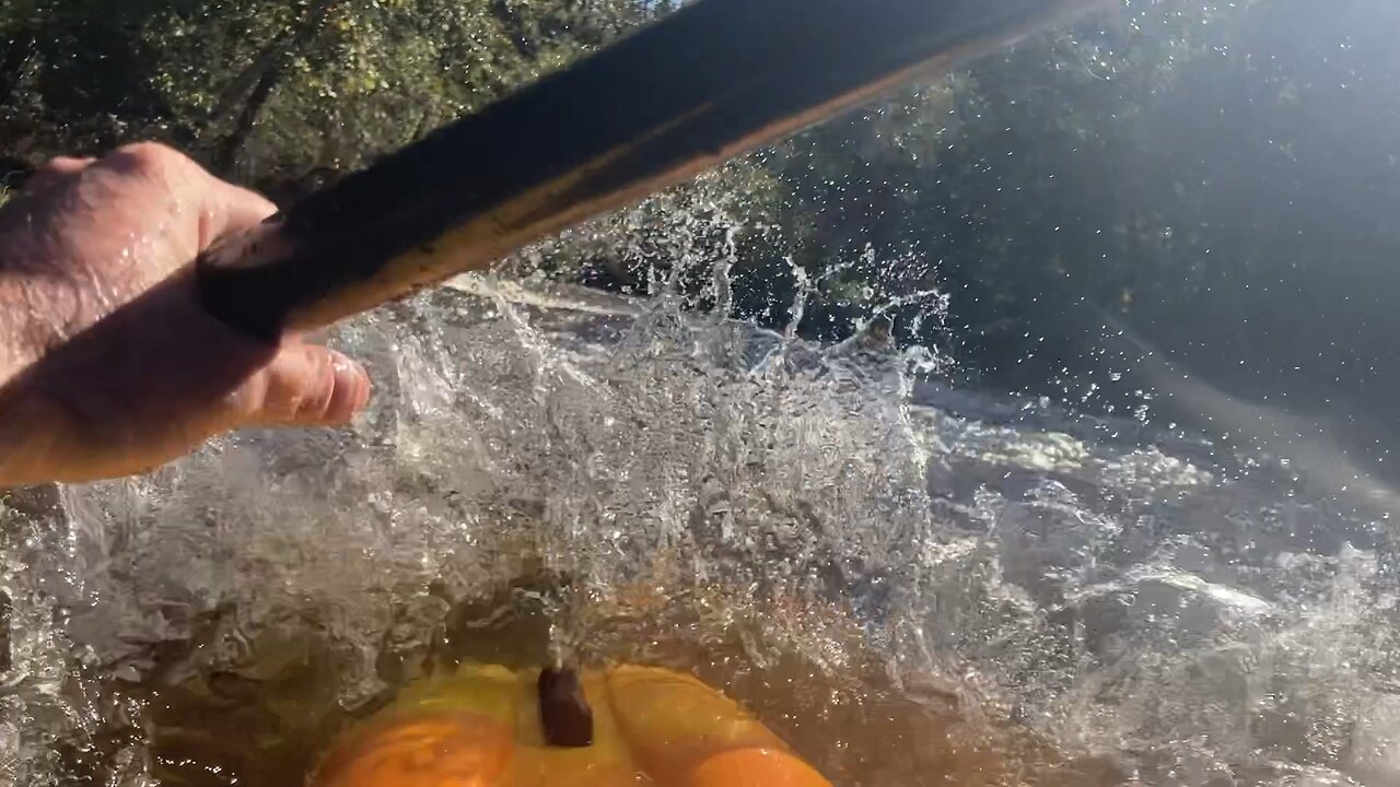 Whitewater Kayaking Falls Dam (1500 cfs)