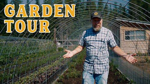 We Need Your Help! What's Going On With Our Tomatoes? | 2024 Garden Tour