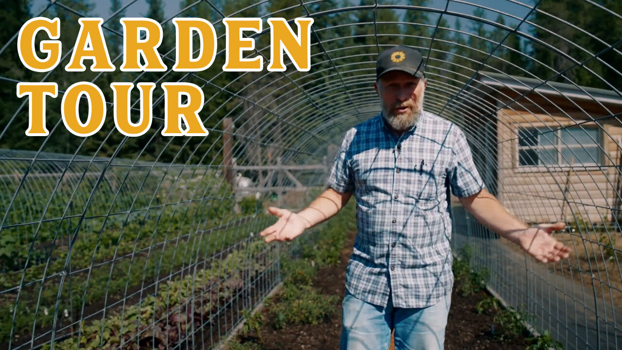 We Need Your Help! What's Going On With Our Tomatoes? | 2024 Garden Tour