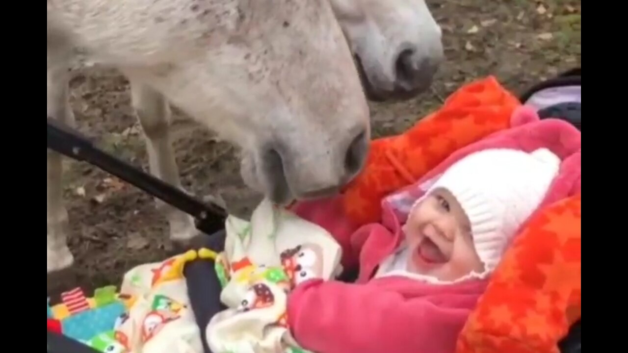 1317. ⚪Magical Moments⚪