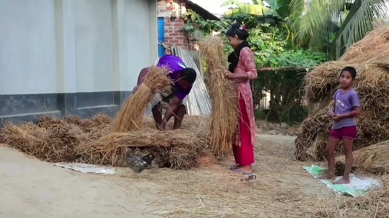 Harvesting rice ( part 10 )