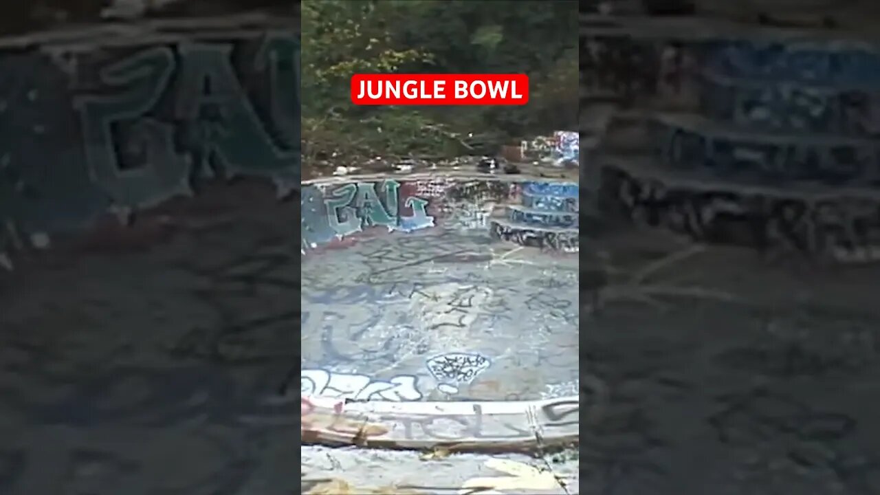 Most Hidden Pool In LA: Jungle Bowl