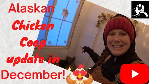 #vlogmas Chicken Coop changes in December! Why what and how are the chickens