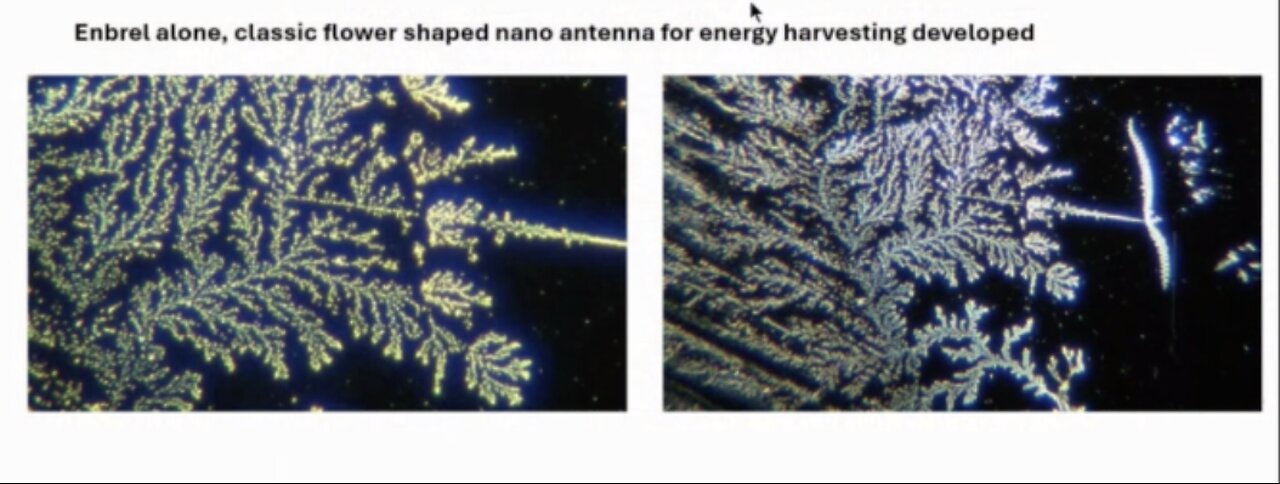 How to Obliterate Energy-Harvesting Nano Bots in Blood