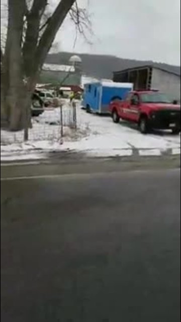 140 animals seized in Allegany County raid