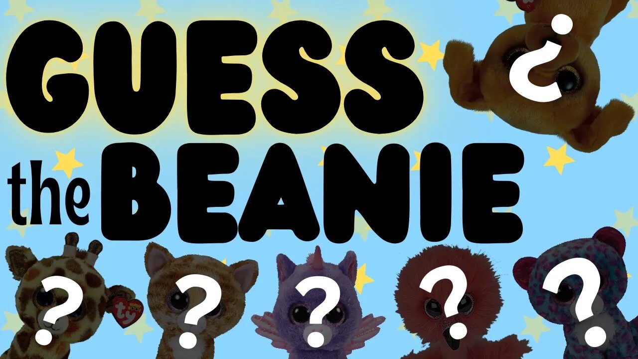 ⭐Are you a Beanie Boo EXPERT? ⭐