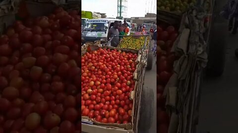 I had to show you guys theis Tomato and Orange Carts I saw in town #shorts #farm