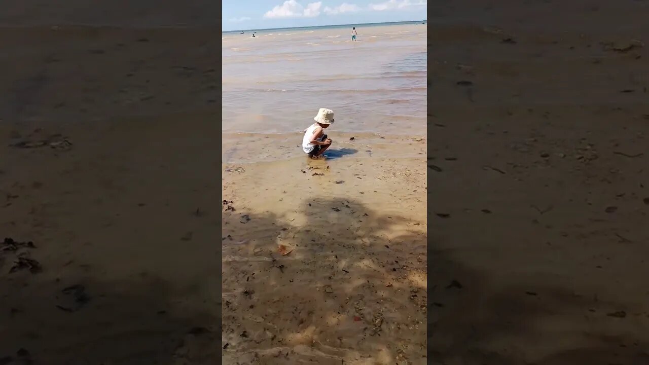 Kid playing on the beach❤️#shorts #short #shortvideo #childrensday #beach