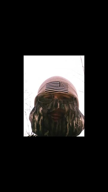 Homegrown Insurrection