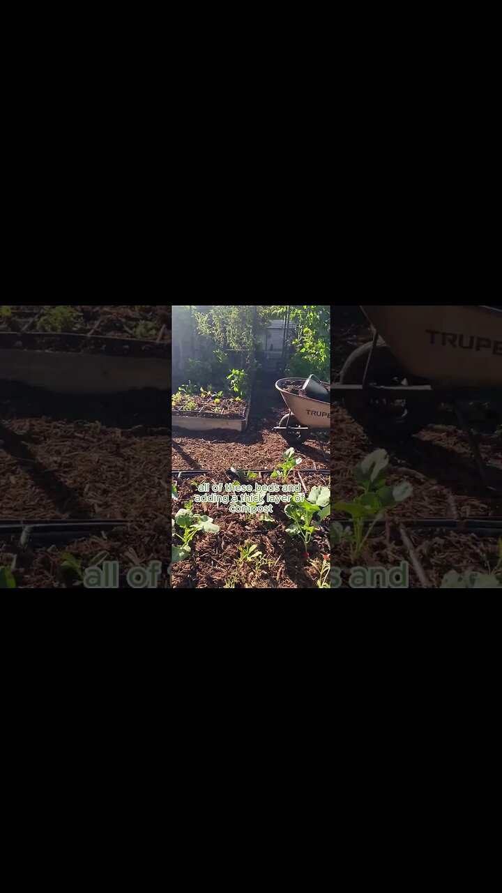 Add Compost to Feed Your Soil #compost #organicgarden