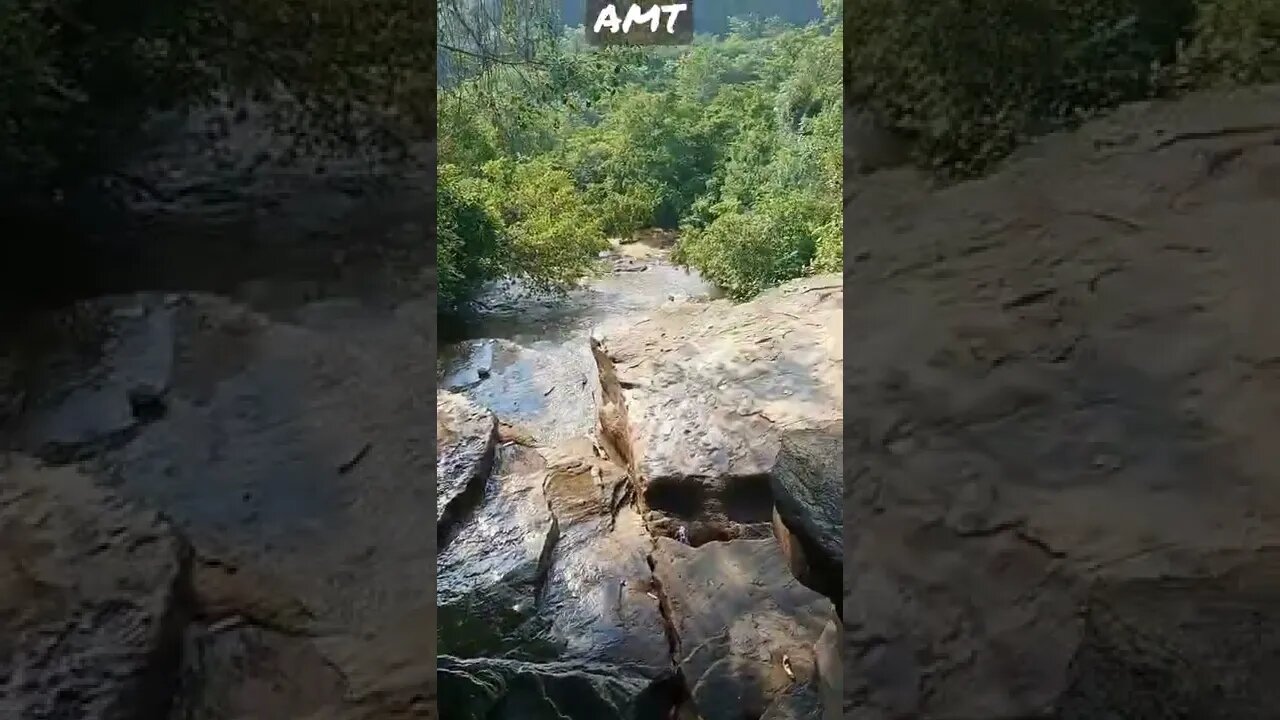 mahalo Ki Rani WhatsApp status AMT safar status