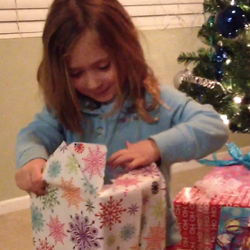 Not So Expected Christmas Gift