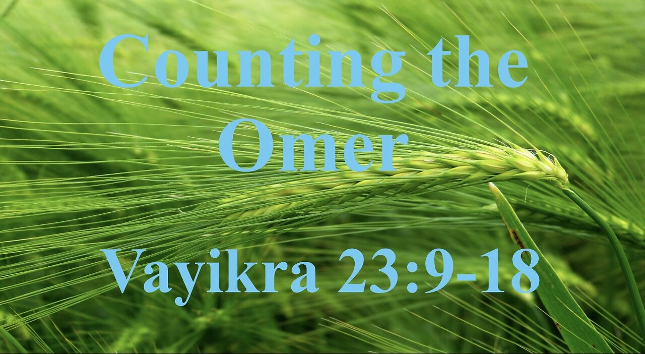 Counting the Omer