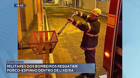 Capelinha: Militares dos Bombeiros Resgatam Porco-Espinho dentro de Lixeira.