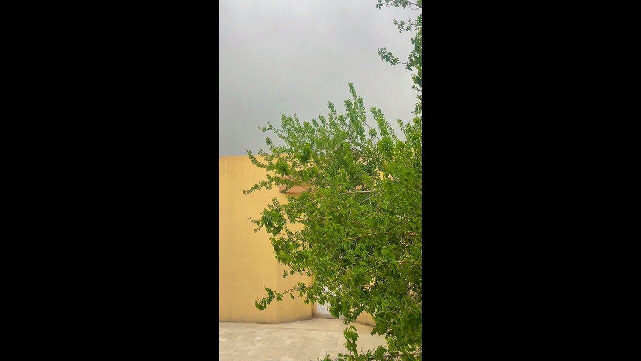 Lovely Weather ❤️
