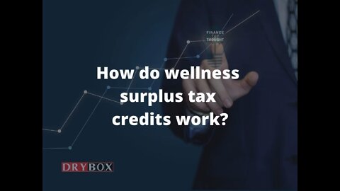How Do Wellness Surplus Tax Credits Work?