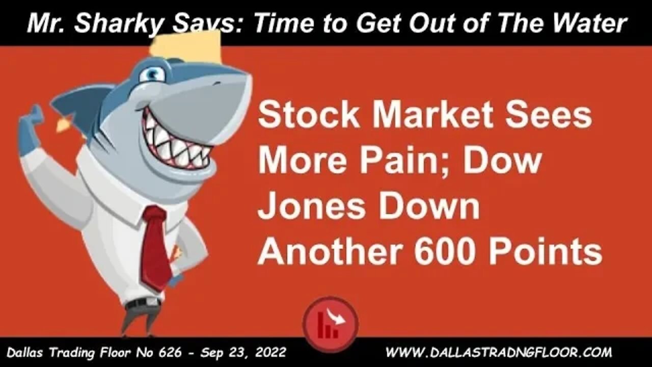 Mr. Sharky Says: Time to Get Out of The Water