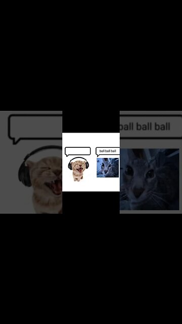Ball Ball Ball