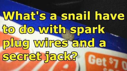 What's a Snail have to do with Spark Plug Wires and a Motorcycle Jack?