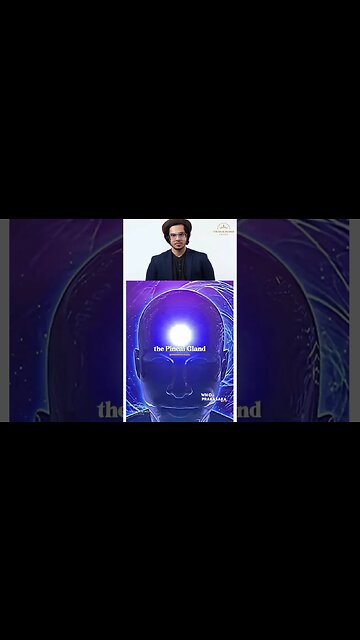 The TRUTH About The Story of Pinocchio !!