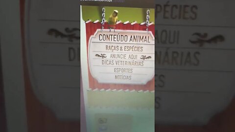 coloque seu negócio na internet, criamos e hospedamos websites e lojas conteudoanimal.com/sites👍🏻